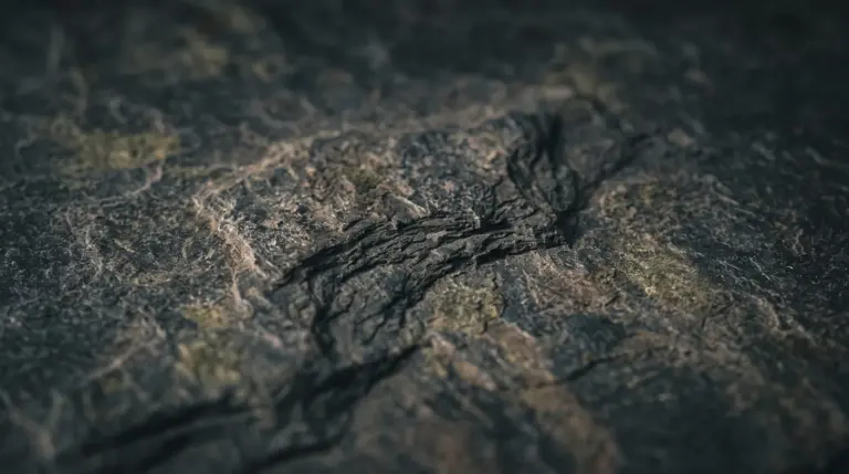 Raue, dunkle Schieferoberfläche im Streiflicht als ruhiger Hintergrund für eine dauerhafte Grabbepflanzung.